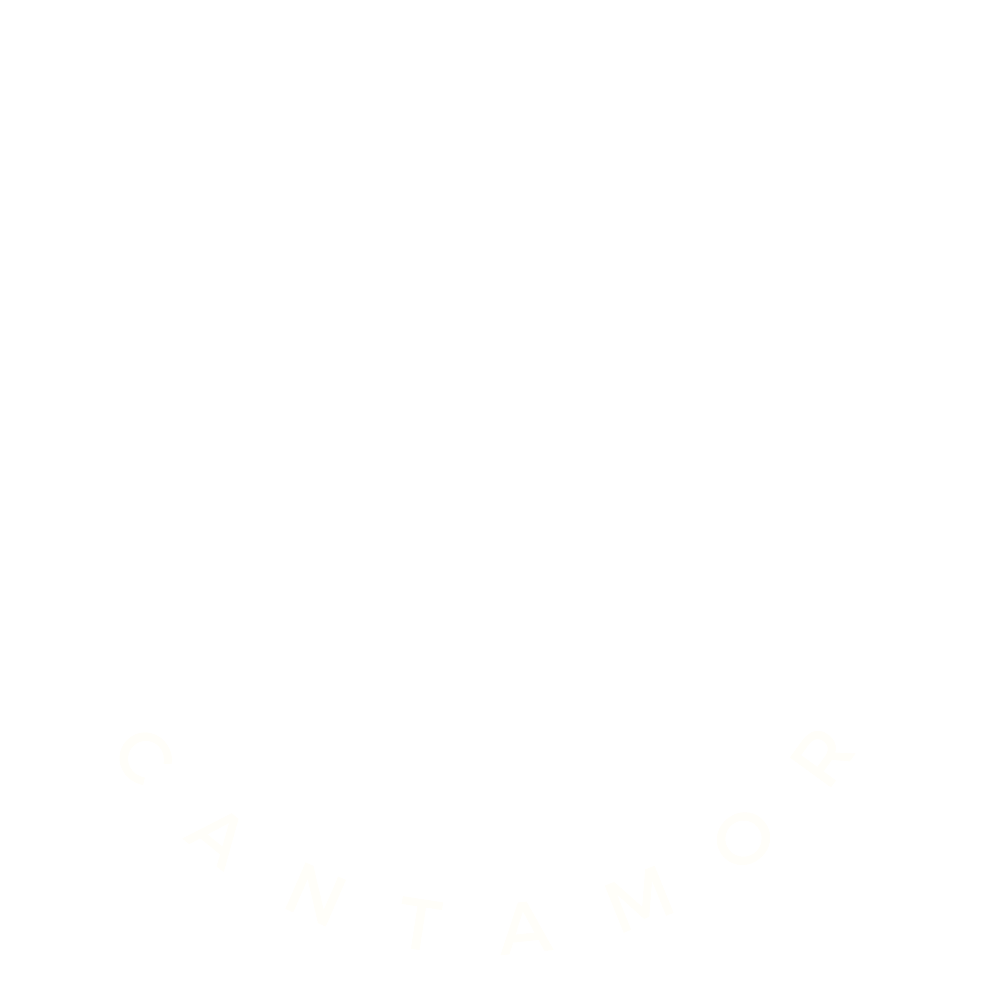 Logo blanco transparente