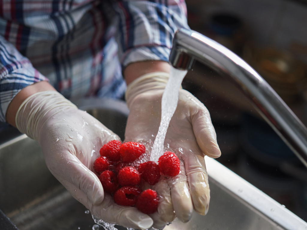 MANIPULADOR DE ALIMENTOS